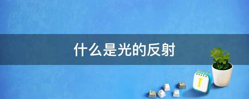 什么是光的反射