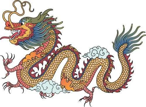 属龙的今年多大了
