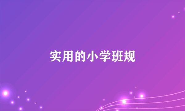 实用的小学班规
