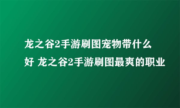 龙之谷2手游刷图宠物带什么好 龙之谷2手游刷图最爽的职业