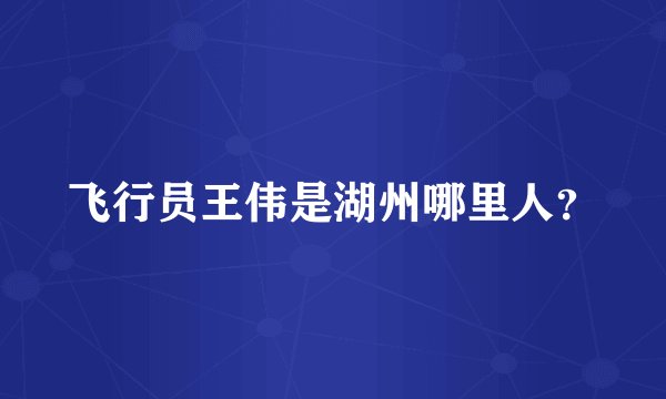 飞行员王伟是湖州哪里人？