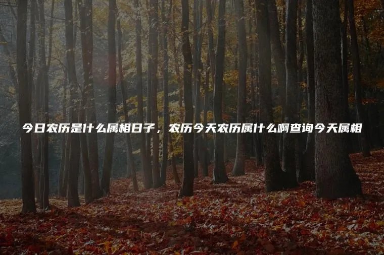 今日农历是什么属相日子，农历今天农历属什么啊查询今天属相