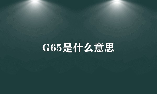 G65是什么意思