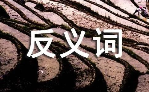 寒冷的反义词是什么