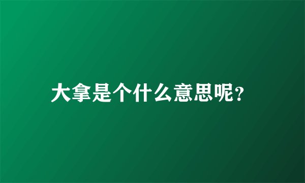 大拿是个什么意思呢？