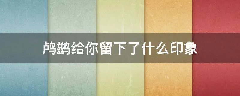 鸬鹚给你留下了什么印象