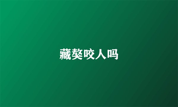 藏獒咬人吗