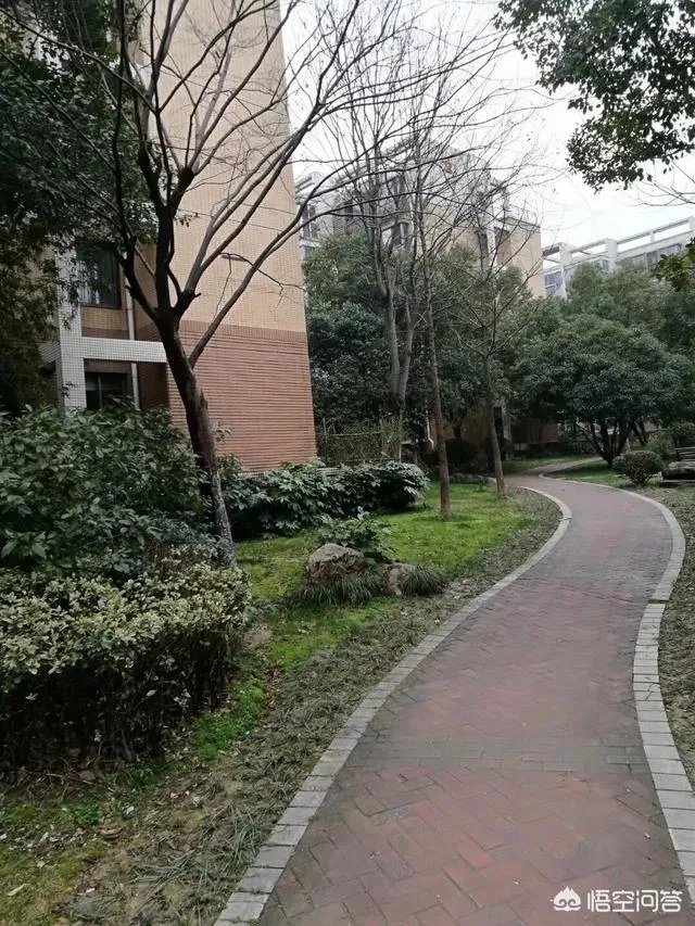 孩子马上上一年级了，送去好点封闭式学校住宿，还是去普通的不住宿学校好呢？为什么？