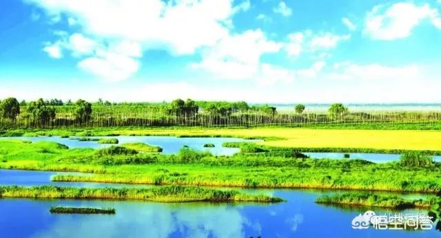 仙桃怎么样