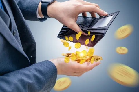 孳息是什么意思