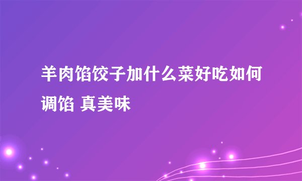 羊肉馅饺子加什么菜好吃如何调馅 真美味