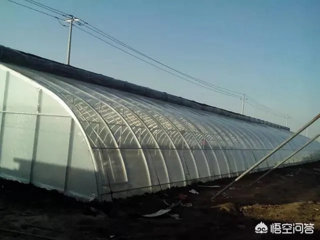什么是设施农业?