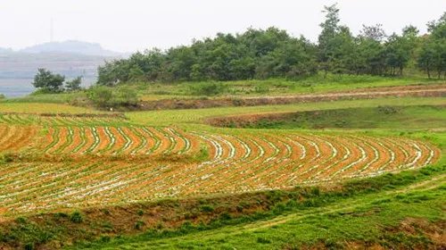流转土地是什么意思