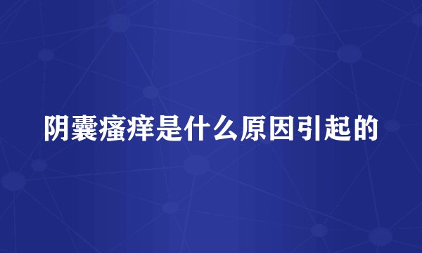 阴囊瘙痒是什么原因引起的