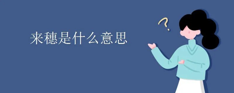 来穗是什么意思