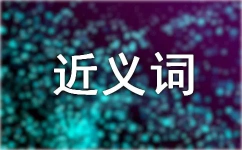 精美的近义词是什么