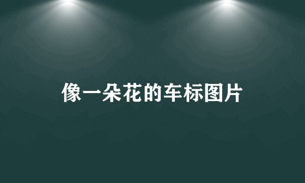 像一朵花的车标图片