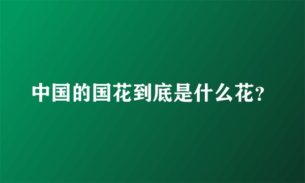 中国的国花到底是什么花？