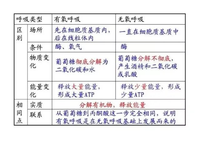 到底什么是有氧运动？什么是无氧运动？