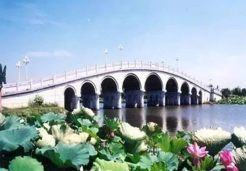 仙桃怎么样