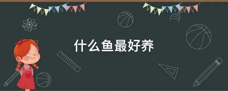 什么鱼最好养