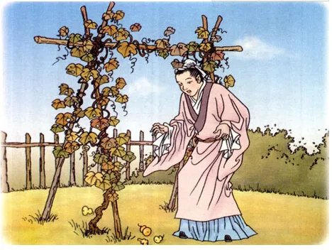 我要的是葫芦一文中种葫芦的人不懂得什么所以什么所以什么？
