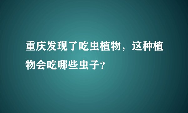 重庆发现了吃虫植物，这种植物会吃哪些虫子？