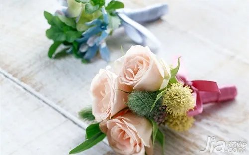 玫瑰花语大全 玫瑰花代表什么