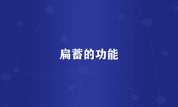 扁蓄的功能