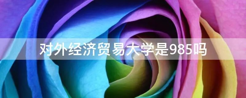 对外经济贸易大学是985吗