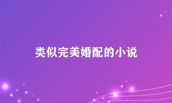 类似完美婚配的小说