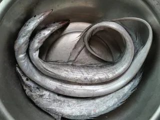 糖醋带鱼