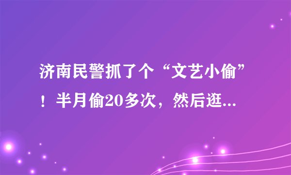 济南民警抓了个“文艺小偷”!半月偷20多次,然后逛景点,你怎么看?