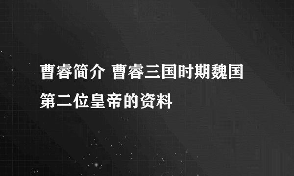 曹睿简介 曹睿三国时期魏国第二位皇帝的资料