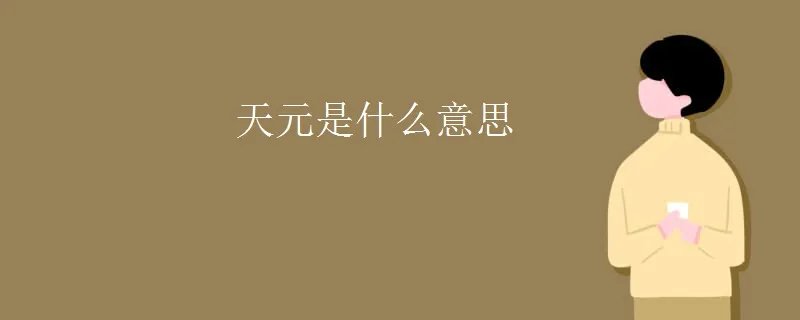 天元是什么意思
