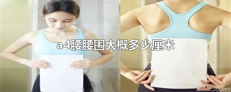 a4腰腰围大概多少厘米