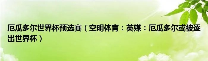 厄瓜多尔世界杯预选赛（空明体育：英媒：厄瓜多尔或被逐出世界杯）
