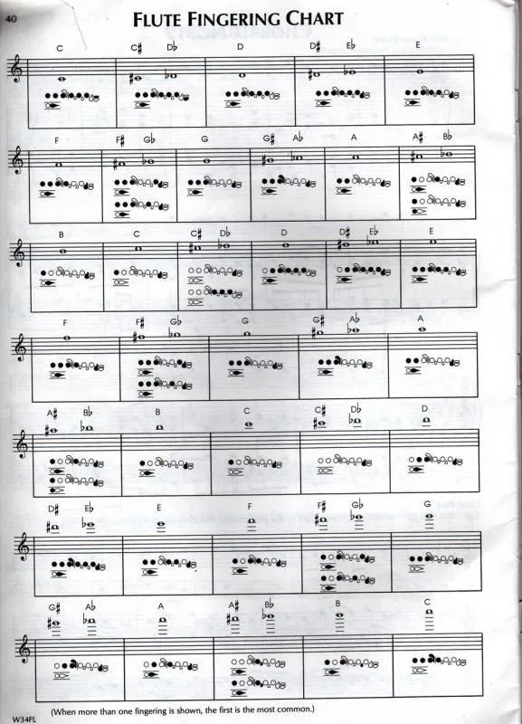 长笛指法表(我要中文!)