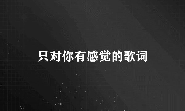 只对你有感觉的歌词