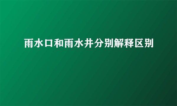雨水口和雨水井分别解释区别