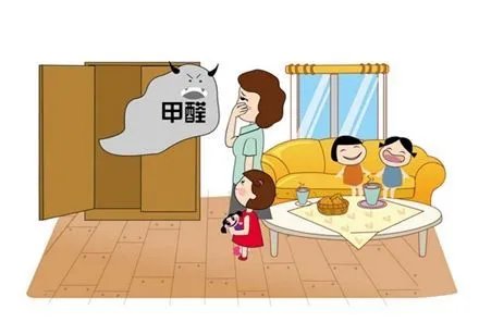 去甲醛公司真的有用么?