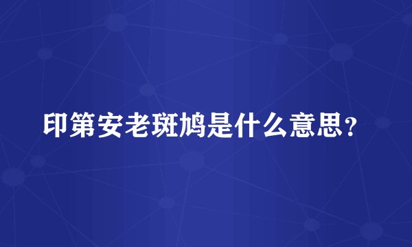 印第安老斑鸠是什么意思？