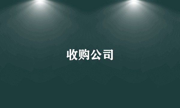 收购公司