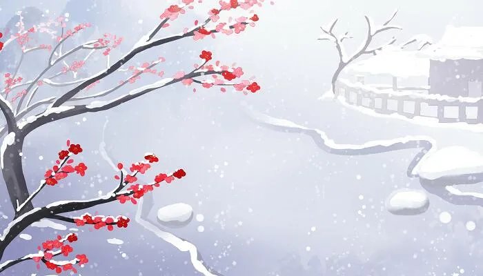 数九寒天的意思是什么