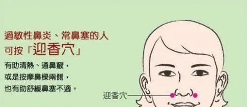迎香穴在哪个位置图解