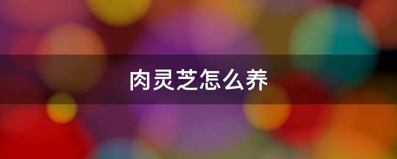 肉灵芝怎么养