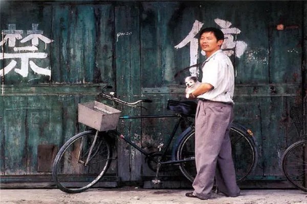 中国关于狗的电影十大排行榜 这些和狗相关的电影都看过吗