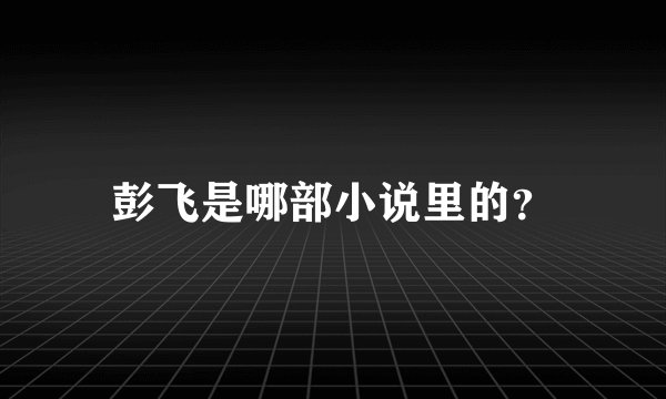 彭飞是哪部小说里的？