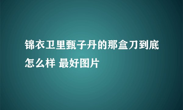 锦衣卫里甄子丹的那盒刀到底怎么样 最好图片