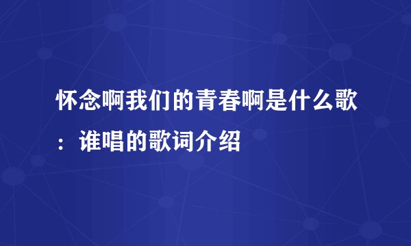 怀念啊我们的青春啊是什么歌：谁唱的歌词介绍